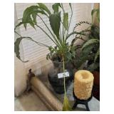 Flower Vase & Candle with Metal Base