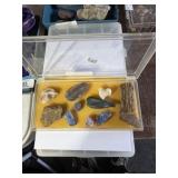 Petrified Wood & Misc. Rocks