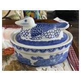 Blue / White Hen on Nest