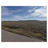 3 FARMS TOTALING 117.7 ACRES in MT VERNON, IN