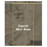 80 ACRES on MEINSCHEIN RD MT VERNON, IN