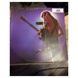 Joe Walsh Vinyl Record Album