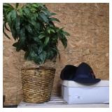 Large Potted Plant & Men