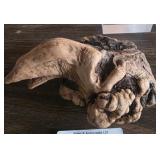 Petrified Wood Specimen