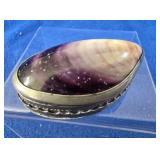 Common Blue Mussel Sea Shell