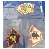 Boy Scout District Patches