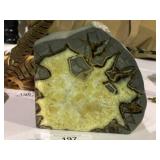 Septarian Calcite Crystal Slice