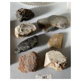 Fossil & Rock Specimens