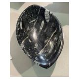 Natural Black Orthoceras Bull