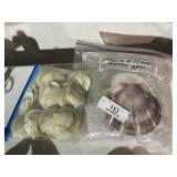 Sea Shells