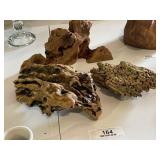 Petrified Wood Collection