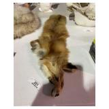 Fox Pelt