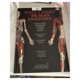 Wall Chart of Human Anatomy