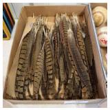 Lot of Feathers