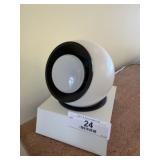 Window / Painting Spotlight