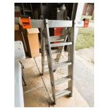 Kraus Multimatic Folding Ladder