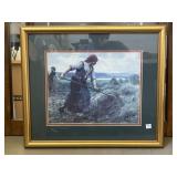 Framed Picture