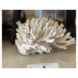 Piece of Coral