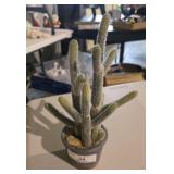 Artificial Cactus