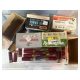 12 ga Ammo