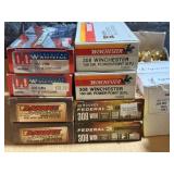 308 Ammo