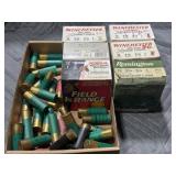 12 ga Ammo
