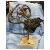 Zombis Deer Skull Mount
