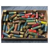 Assorted Shotgun Shells