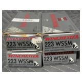 Winchester 223 WSSM Ammo