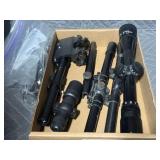 Scopes & Mounts