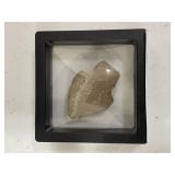 Projectile Point