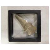 Notched Projectile Point Arrowhead