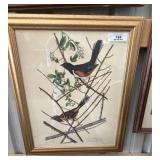 John Audubon Bird Print