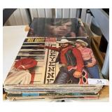 Lot of Collectible Records