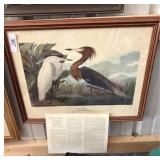 John Audubon Framed Art