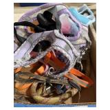 Lot of Dog Collars & Harness