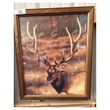 Elk Art Print