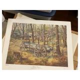 Evelyn Steinkuhl Prints