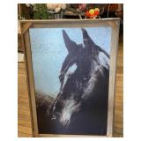Framed Horse Picture