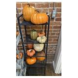 Rack with Decorative Fall Pumpkins