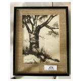 Original Artwork & Prints