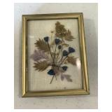 Framed Floral Art