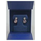 Ornate Earrings
