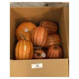 Lot of 8 Assorted Pumpkins / Gourds