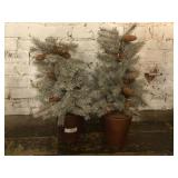 Two 2' Christmas Trees