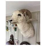 Rams Head Mount