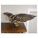 Taxidermy Mounted Bird of Prey
