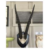 Taxidermy Wall Mount Gazelle