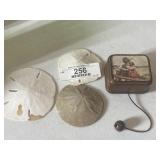 3 Sand Dollars and Pull String Music Box