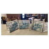 Three Spartina Clear Plastic Pouch